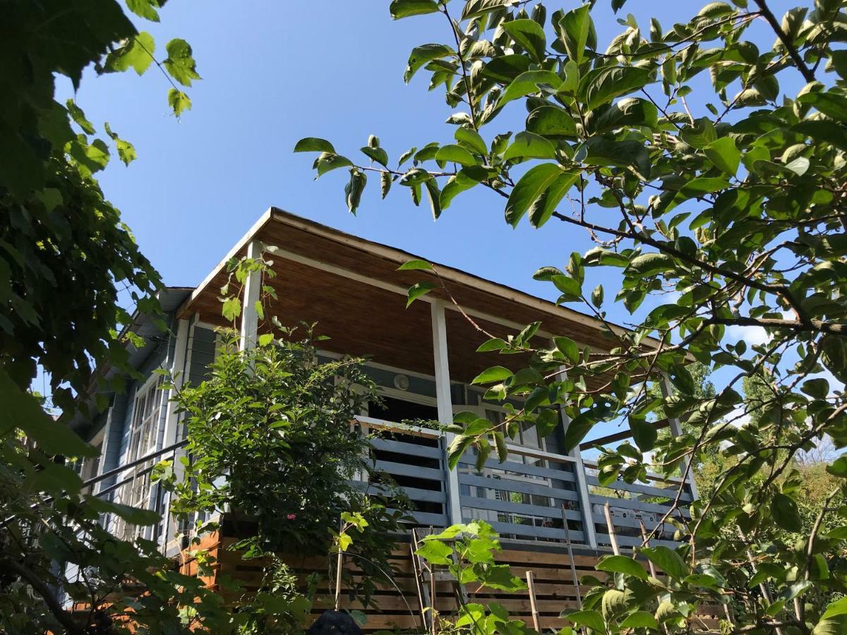 New Athos Eco Cottage Marina מראה חיצוני תמונה